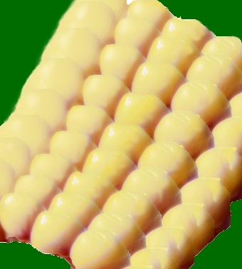 Creation of CORNY: Step 6